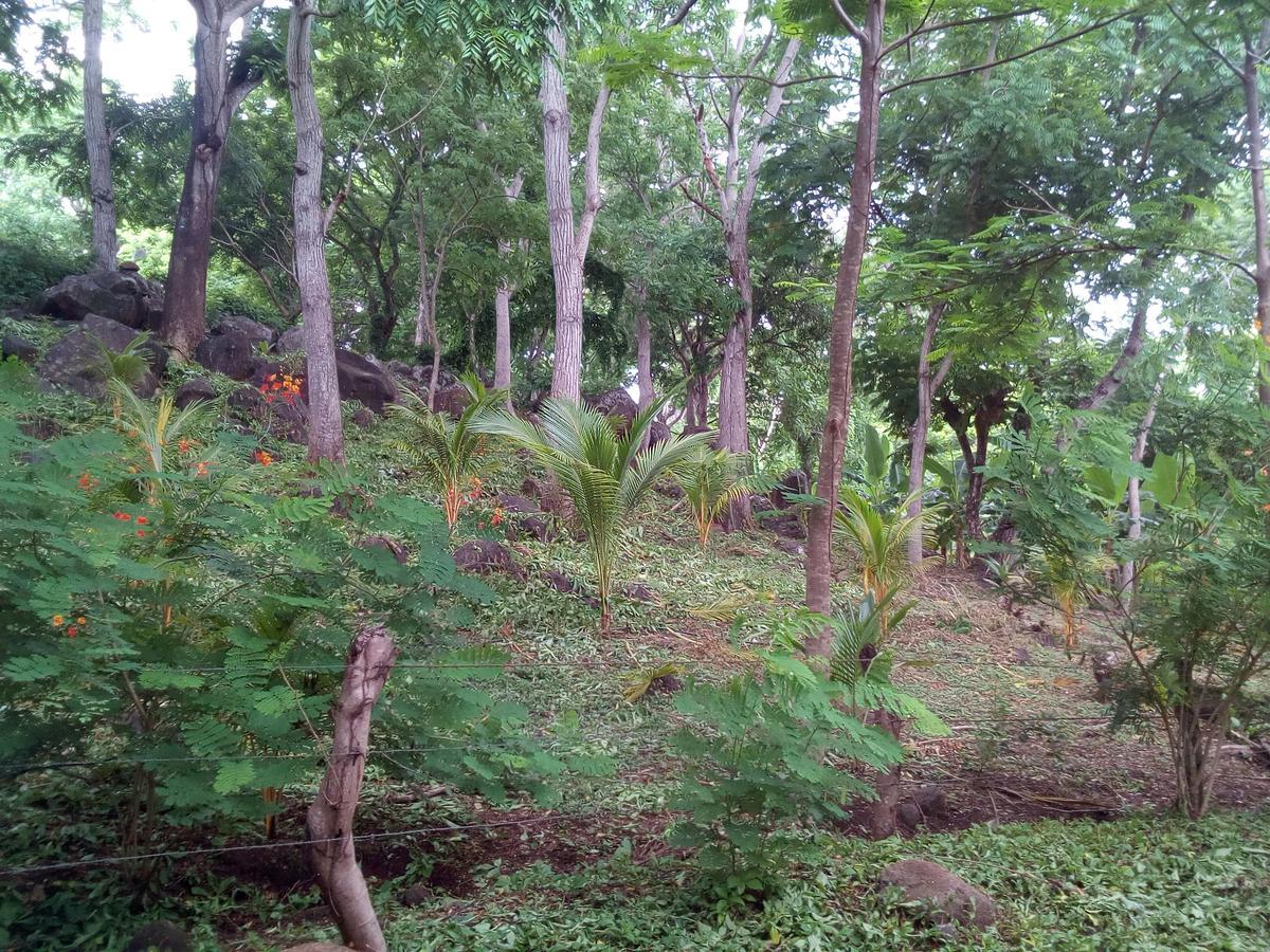 Eco-Lodge El Porvenir. Santa Cruz Ngoại thất bức ảnh