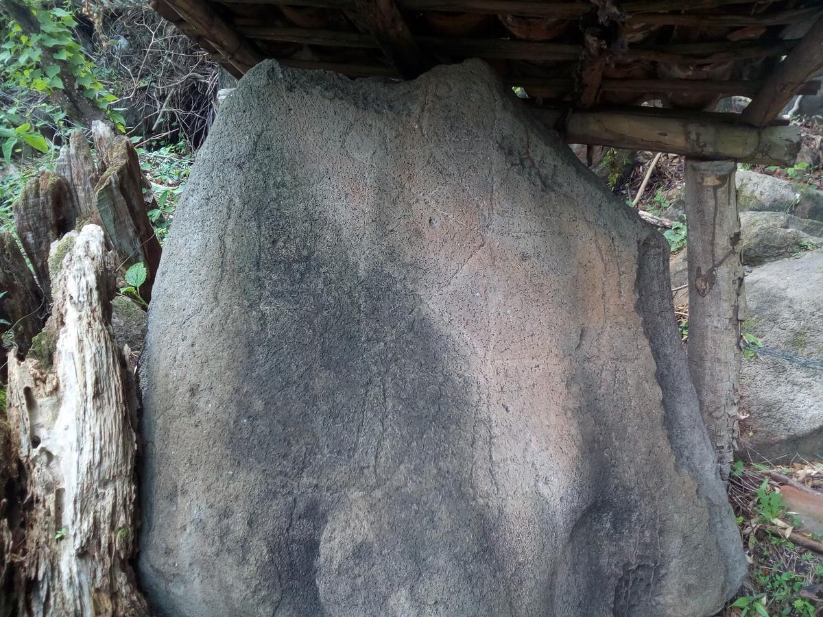 Eco-Lodge El Porvenir. Santa Cruz Ngoại thất bức ảnh
