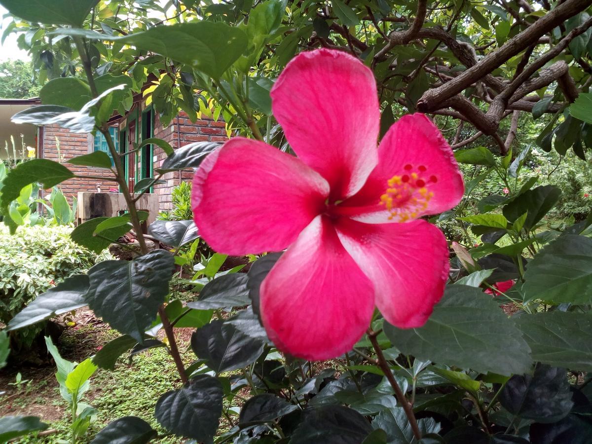 Eco-Lodge El Porvenir. Santa Cruz Ngoại thất bức ảnh