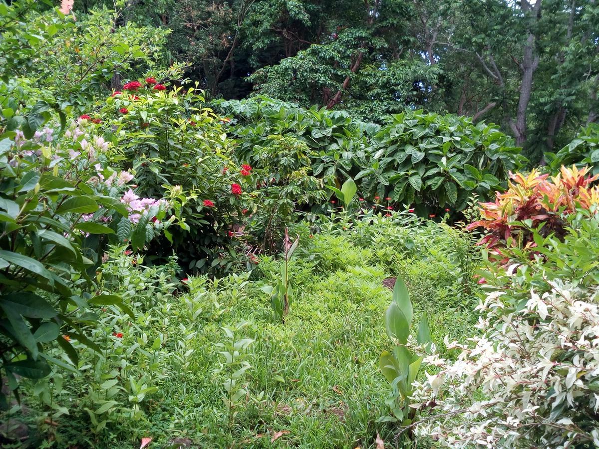Eco-Lodge El Porvenir. Santa Cruz Ngoại thất bức ảnh